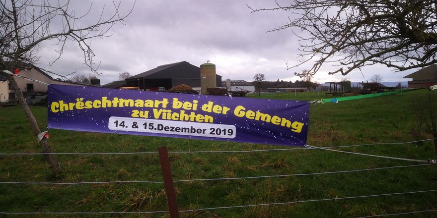 Banner Michelbuch